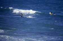 0410_0020.jpg