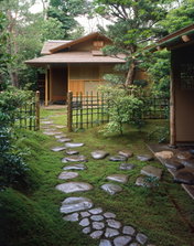 05_stepping stone.jpg