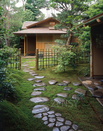 05_stepping stone.jpg