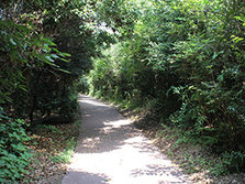 04.jpg