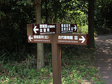 05.jpg