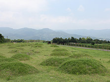 06.jpg