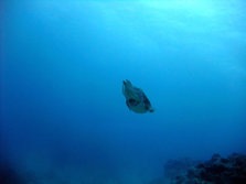 DSCF1336.jpg