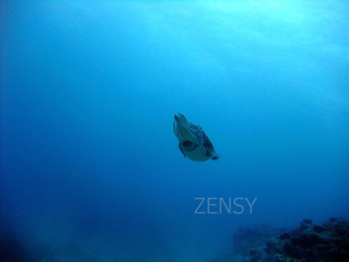 DSCF1336.jpg