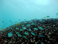 DSCF1516.jpg