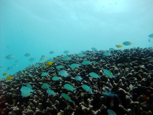 DSCF1516.jpg