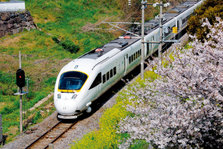 kamome_03.jpg
