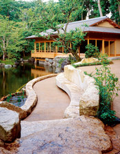 04_view for tea room.jpg