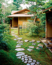 05_stepping stone.jpg