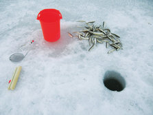 13 110227___CIMG2321.jpg