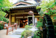 EO0A7164.jpg
