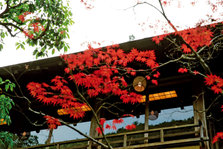 EO0A7225.jpg