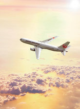 JAL.jpg