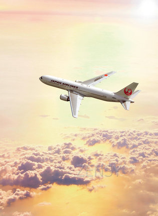 JAL.jpg