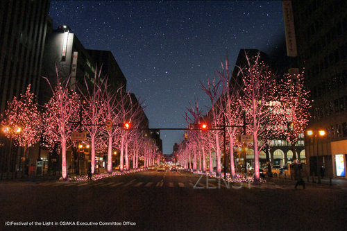 屼摪嬝_僐乕儔儖_梩柍偟_DSC05575.jpg