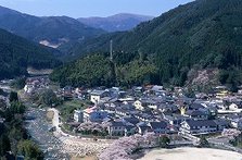 佐贺县11月