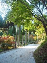 DSCF0165.jpg