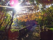DSCF0182.jpg