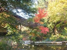 DSCF0204.jpg