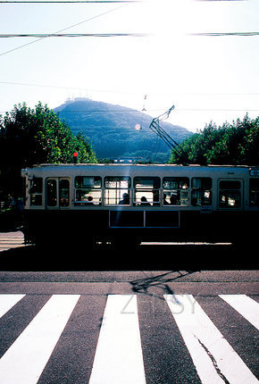 01973518.jpg