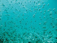 DSCF1423.jpg