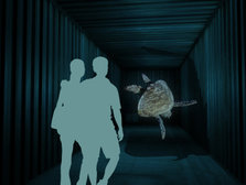 07_media_artworks.jpg