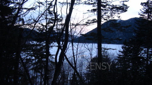 DSC00082憗挬怷偺嶶嶔偱尒偨慠暿屛.JPG