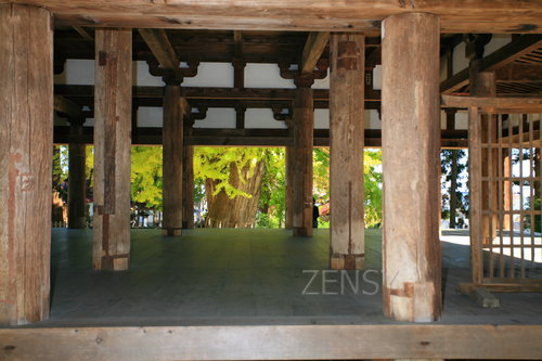 13329孎栰恄幮乽挿彴乿.JPG