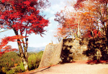 20110729092116293_0005.jpg
