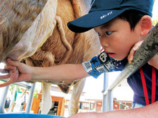 20120914.jpg
