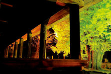 20131018_002.jpg