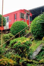 YK2Q9850.jpg