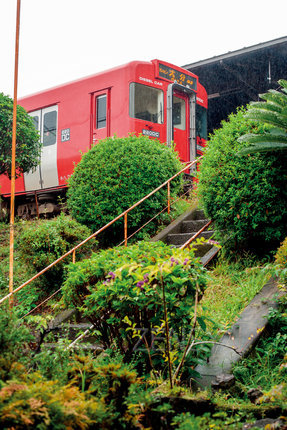 YK2Q9850.jpg