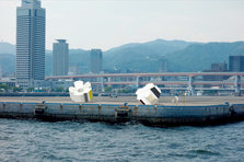 takasuga_hiru.jpg