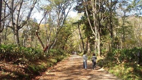 IMG_20131014_104732.jpg