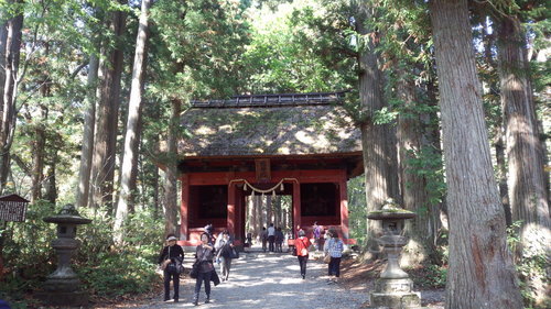 IMG_20131014_105627.jpg