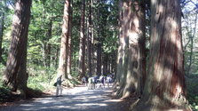 IMG_20131014_105716.jpg