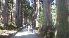 IMG_20131014_105746.jpg