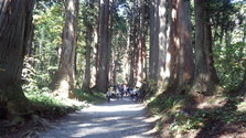 IMG_20131014_110009.jpg