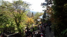 IMG_20131014_112002.jpg