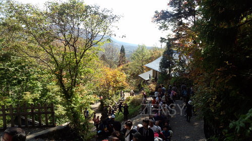 IMG_20131014_112002.jpg