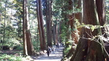 IMG_20131014_112831.jpg