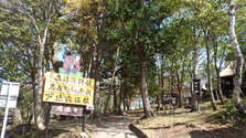 IMG_20131014_114629.jpg