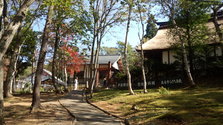 IMG_20131014_114650.jpg