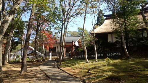 IMG_20131014_114650.jpg