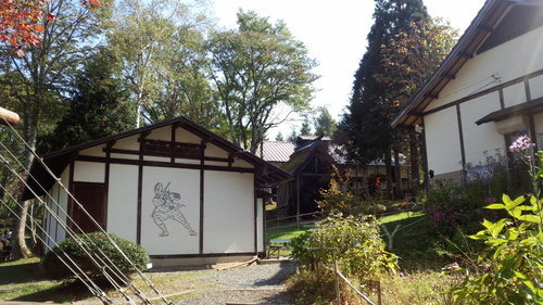 IMG_20131014_114808.jpg