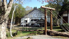 IMG_20131014_114815.jpg
