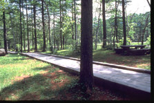 togakushi forest park.jpg
