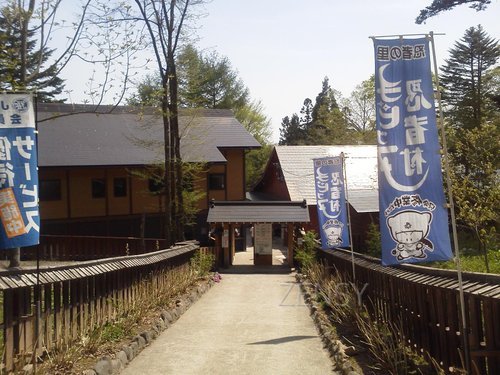 NEC_1292.JPG