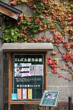 EO0A9946.JPG